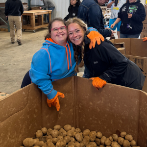 Two people work together sorting potatoes into huge bins.
